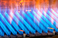 Bucklandwharf gas fired boilers
